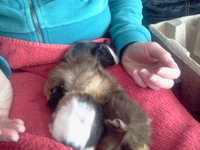 zdjęcie0020.jpg (267.1 KiB) Przejrzano 1991 razy zdjęcie0020.jpg