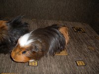 SDC10686.JPG