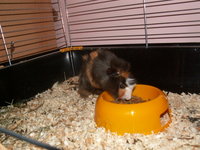 PICT0086.JPG