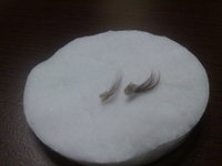 25082011556.jpg