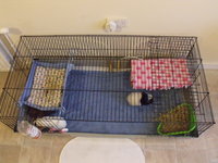 DSCF2784.JPG
