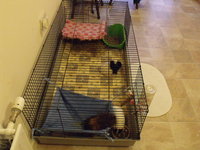 DSCF2806.JPG