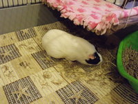 DSCF2804.JPG