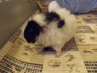 DSCF2796.JPG