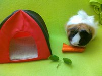 201108261719.jpg