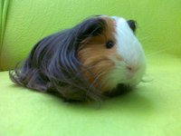 201108261706.jpg