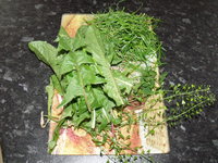 DSCF2824.JPG