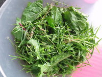 DSCF2833.JPG