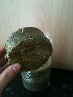 IMG_0017.JPG