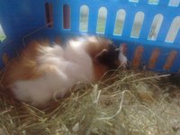20110911501.jpg