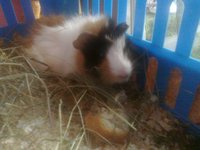 20110911502.jpg