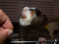 PICT0040.JPG