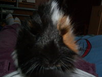 PICT0047.JPG