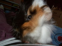 PICT0046.JPG