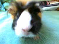 20110508048.jpg