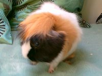 20110508055.jpg