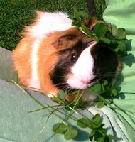 201109271848.jpg