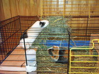 DSC01291.JPG