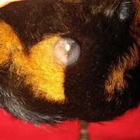 DSC09025.JPG (31.5 KiB) Przejrzano 3551 razy DSC09025.JPG