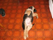 tn_HPIM0858.JPG