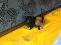 20111113100.jpg