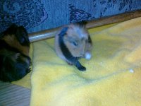 20111113105.jpg