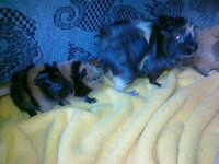 20111113112.jpg