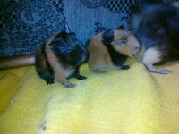 20111113113.jpg
