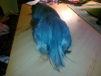 201111161997.jpg