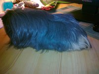 201111161996.jpg