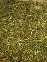 IMG_0026.JPG
