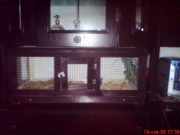 DSC01968.JPG (6.88 KiB) Przejrzano 10254 razy DSC01968.JPG