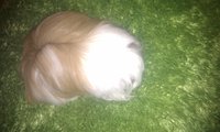 IMAG0052.jpg