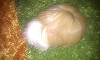IMAG0053.jpg