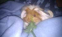 IMAG0057.jpg