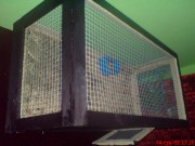 DSC01967.JPG (8.41 KiB) Przejrzano 10248 razy DSC01967.JPG