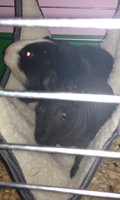 IMAG0045.jpg