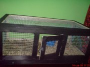 DSC01966.JPG (207.59 KiB) Przejrzano 10250 razy DSC01966.JPG