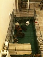 IMG_0114.JPG