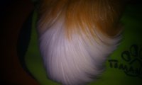 IMAG0121.jpg