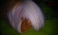 IMAG0123.jpg