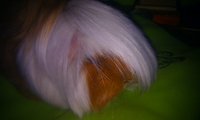 IMAG0124.jpg