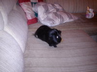 DSC00047.jpg