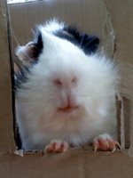 DSC0000141_001.jpg
