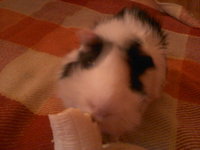 DSC0000027.jpg