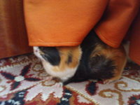 DSC01308.JPG