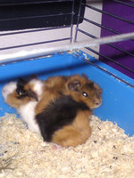 DSC01312.JPG (371.09 KiB) Przejrzano 1700 razy DSC01312.JPG