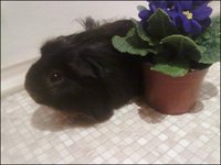 20120117342.jpg