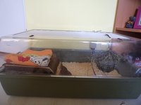 DSC00692.JPG