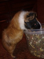 12012012683.jpg